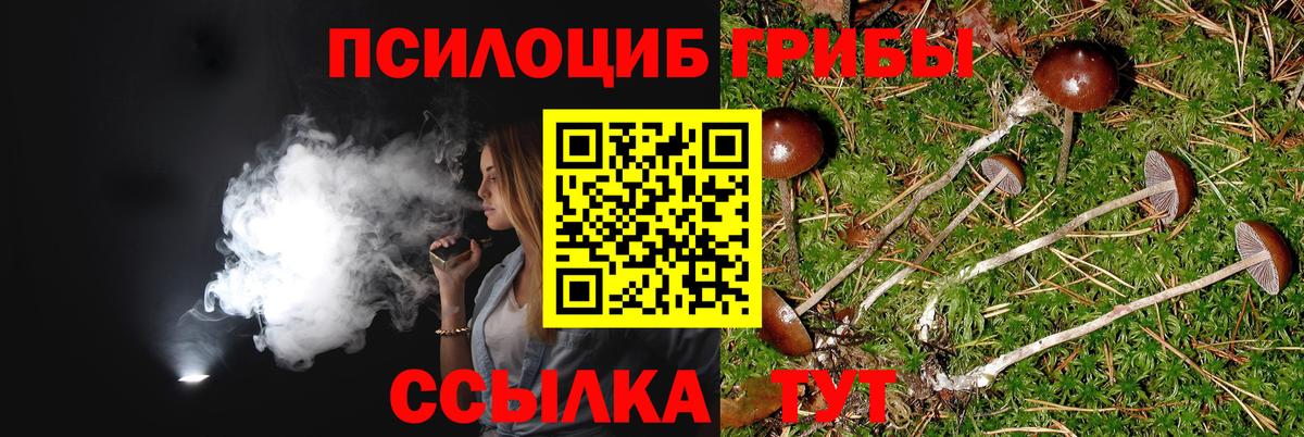 Ефремов  Галлюциногенные грибы Magic Shrooms  Псилоцибиновые грибы прущие грибы  Вход с VPN 