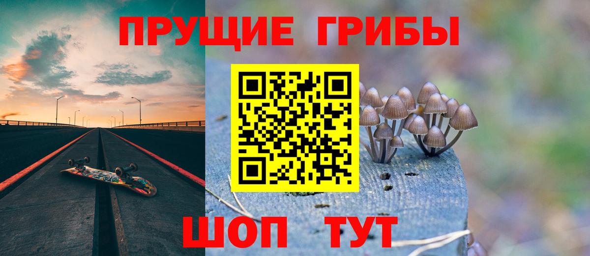 Галлюциногенные грибы Cubensis Ефремов